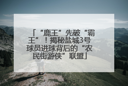 “鹿王”先破“霸王”！揭秘盐城3号球员进球背后的“农民街游侠”联盟