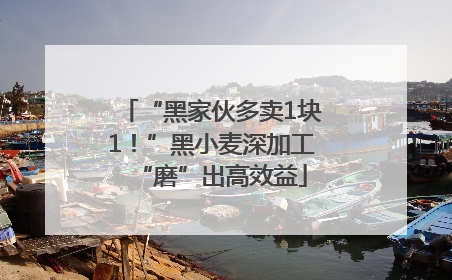 “黑家伙多卖1块1！”黑小麦深加工“磨”出高效益