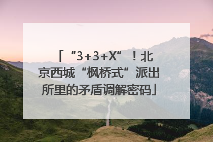 “3+3+X”！北京西城“枫桥式”派出所里的矛盾调解密码