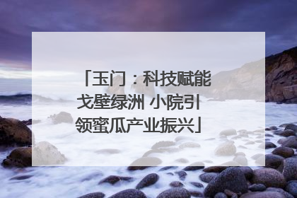玉门：科技赋能戈壁绿洲 小院引领蜜瓜产业振兴