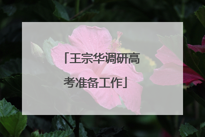王宗华调研高考准备工作