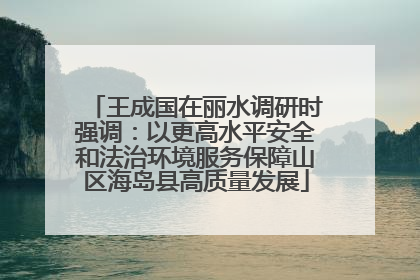 王成国在丽水调研时强调：以更高水平安全和法治环境服务保障山区海岛县高质量发展