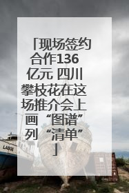 现场签约合作136亿元 四川攀枝花在这场推介会上画“图谱”列“清单”