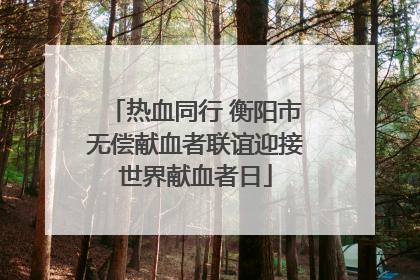 热血同行 衡阳市无偿献血者联谊迎接世界献血者日