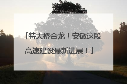 特大桥合龙！安徽这段高速建设最新进展！