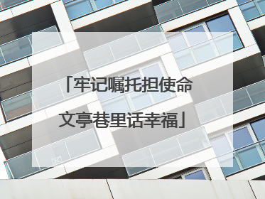 牢记嘱托担使命 文亭巷里话幸福
