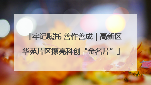 牢记嘱托 善作善成｜高新区华苑片区擦亮科创“金名片”