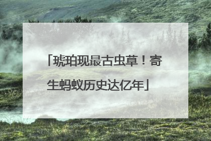 琥珀现最古虫草！寄生蚂蚁历史达亿年
