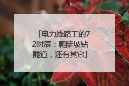 电力线路工的72时辰：爬陡坡钻隧道，还有其它