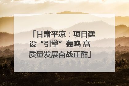甘肃平凉：项目建设“引擎”轰鸣 高质量发展奋战正酣