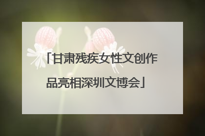 甘肃残疾女性文创作品亮相深圳文博会
