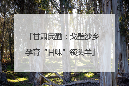 甘肃民勤：戈壁沙乡孕育“甘味”领头羊