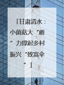 甘肃清水：小菌菇大“蘑”力撑起乡村振兴“致富伞”
