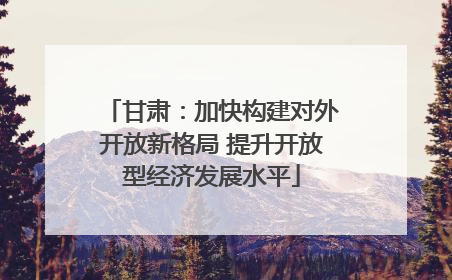 甘肃：加快构建对外开放新格局 提升开放型经济发展水平