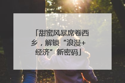 甜蜜风暴席卷西乡，解锁“浪漫+经济”新密码