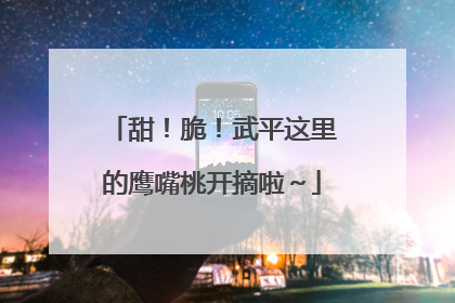 甜！脆！武平这里的鹰嘴桃开摘啦～