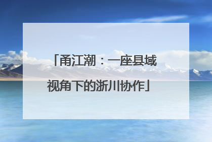 甬江潮：一座县域视角下的浙川协作