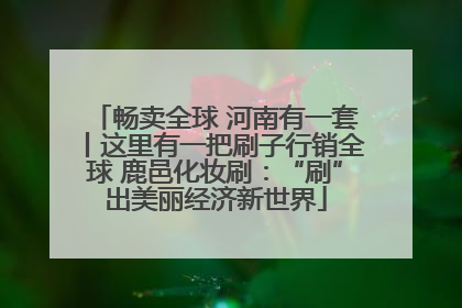 畅卖全球 河南有一套丨这里有一把刷子行销全球 鹿邑化妆刷：“刷”出美丽经济新世界