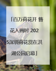 百万荷花开 簪花入画时 2025深圳荷花赏在洪湖公园启幕