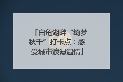 白龟湖畔“绮梦秋千”打卡点：感受城市浪漫温情