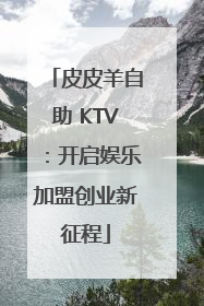 皮皮羊自助 KTV：开启娱乐加盟创业新征程