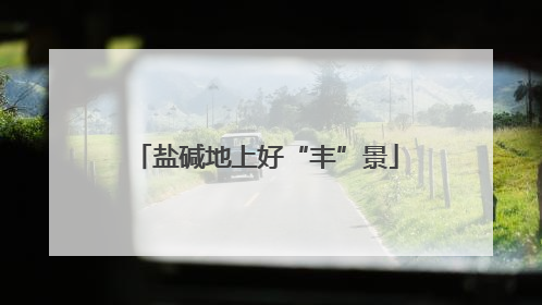 盐碱地上好“丰”景