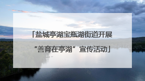 盐城亭湖宝瓶湖街道开展“善育在亭湖”宣传活动