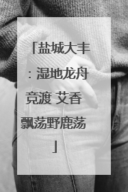 盐城大丰：湿地龙舟竞渡 艾香飘荡野鹿荡