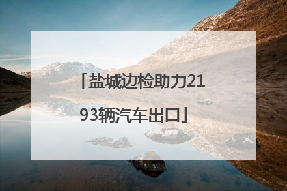 盐城边检助力2193辆汽车出口