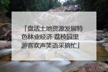盘活土地资源发展特色林业经济 荔枝园里游客欢声笑语采摘忙