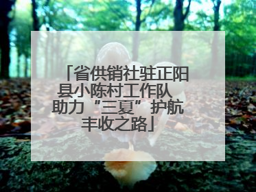 省供销社驻正阳县小陈村工作队 助力“三夏”护航丰收之路