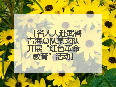 省人大赴武警青海总队某支队开展“红色革命教育”活动