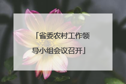 省委农村工作领导小组会议召开