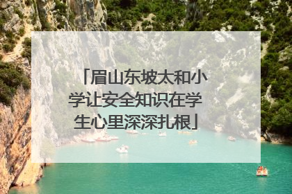 眉山东坡太和小学让安全知识在学生心里深深扎根