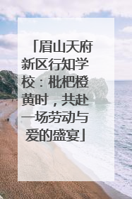 眉山天府新区行知学校：枇杷橙黄时，共赴一场劳动与爱的盛宴