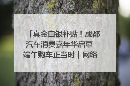 真金白银补贴！成都汽车消费嘉年华启幕 端午购车正当时｜网络中国节·端午