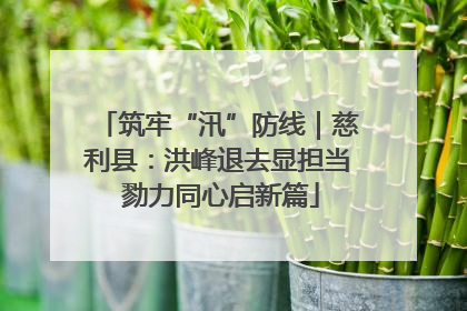 筑牢“汛”防线｜慈利县：洪峰退去显担当 勠力同心启新篇