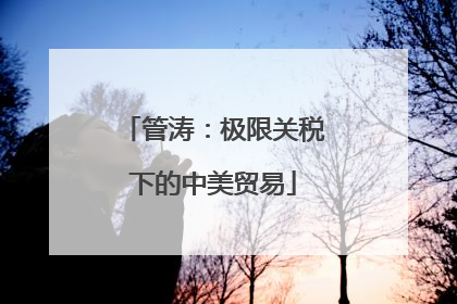 管涛：极限关税下的中美贸易