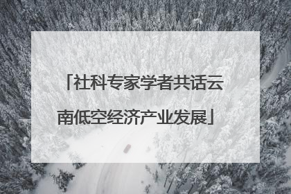 社科专家学者共话云南低空经济产业发展