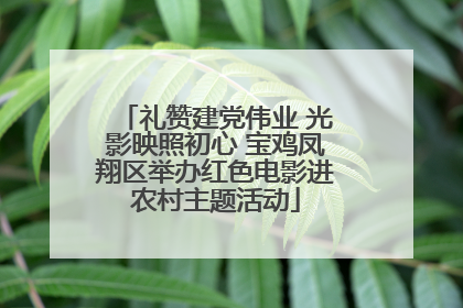 礼赞建党伟业 光影映照初心 宝鸡凤翔区举办红色电影进农村主题活动