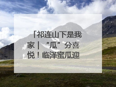 祁连山下是我家｜“瓜”分喜悦！临泽蜜瓜迎来丰收季