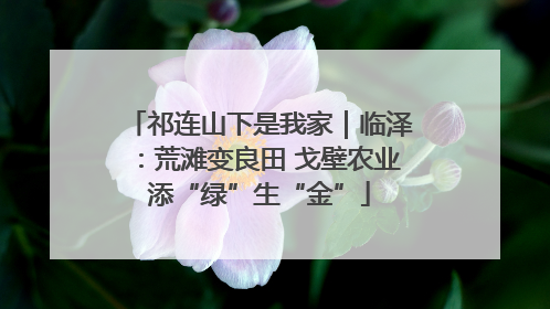 祁连山下是我家｜临泽：荒滩变良田 戈壁农业添“绿”生“金”