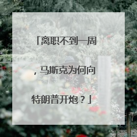 离职不到一周，马斯克为何向特朗普开炮？
