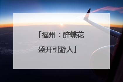 福州：醉蝶花盛开引游人