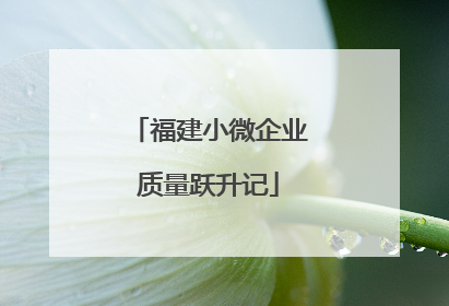 福建小微企业质量跃升记