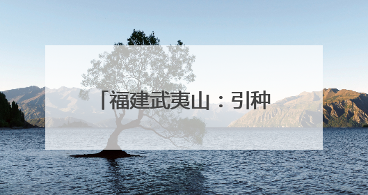 福建武夷山：引种七彩土豆喜获丰收
