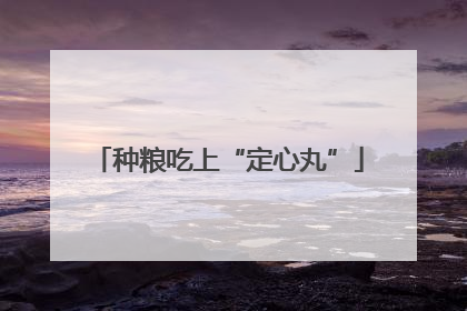 种粮吃上“定心丸”