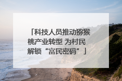 科技人员推动猕猴桃产业转型 为村民解锁“富民密码”