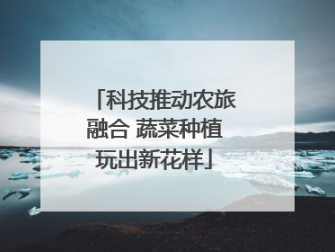 科技推动农旅融合 蔬菜种植玩出新花样