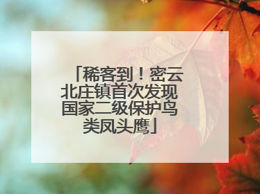 稀客到！密云北庄镇首次发现国家二级保护鸟类凤头鹰